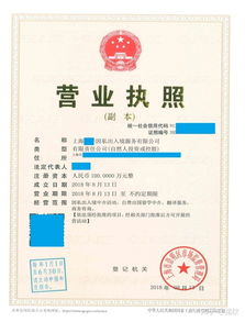 上海注册非中介留学服务公司 类别、经营范围与票务代理指南